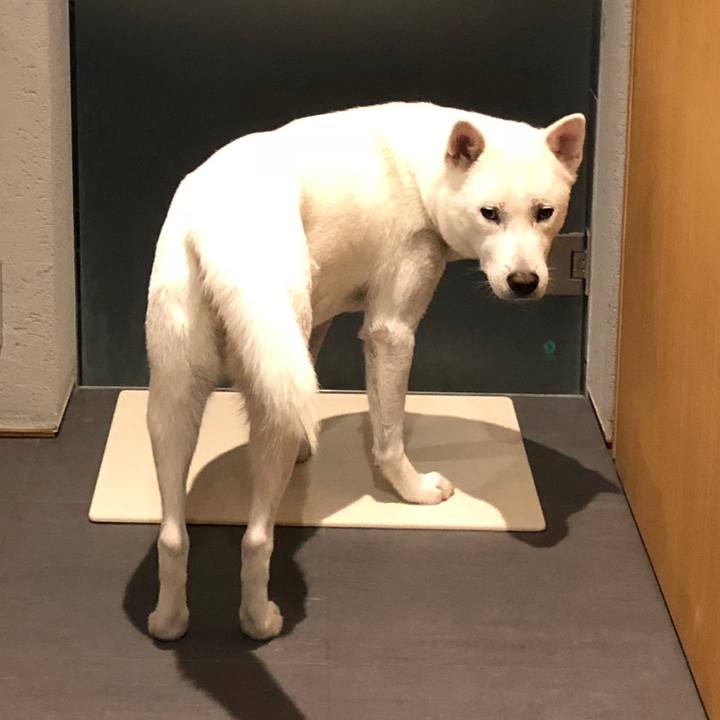 7eb51a9b be45 45be 89c3 ee9eb2e7ec17 1545223589784