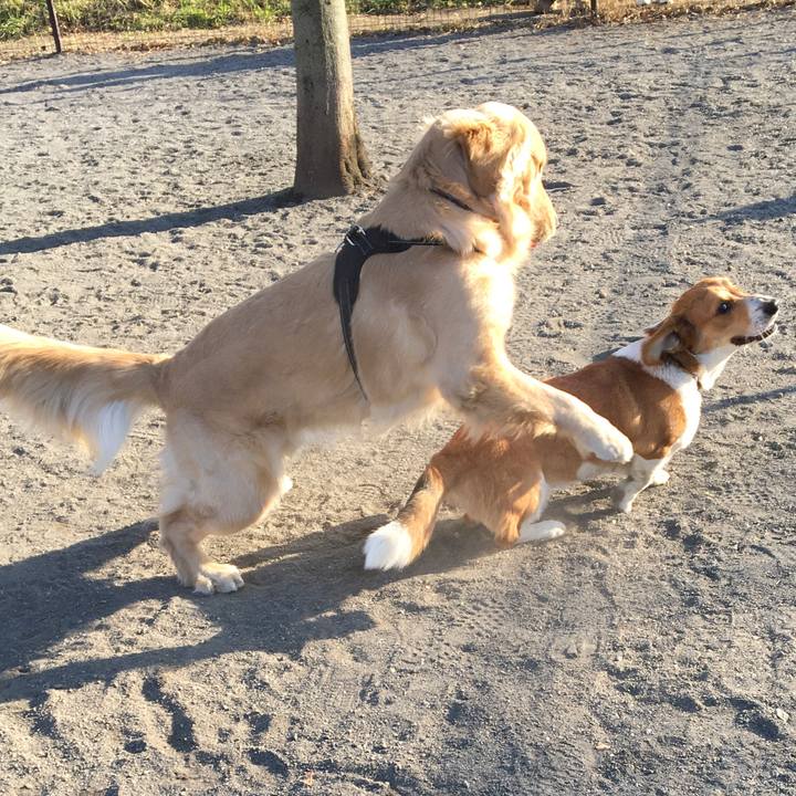 7eb523ba bfb1 4aa0 9760 414ff2a152ba 1605530343737