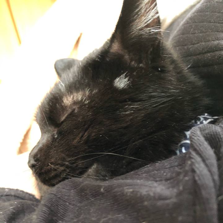 7eb52be7 cc0d 4cb0 8b17 ed6e4dede9e7 1561151817718