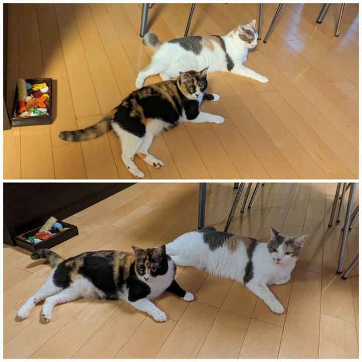 7eb5912c 49f1 4eda a2af 675b9d96ca05 1695021991404