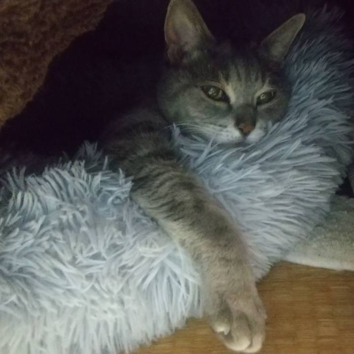 7eb594c6 5a14 4c6c bf69 4e931d149e0d 1676734144101