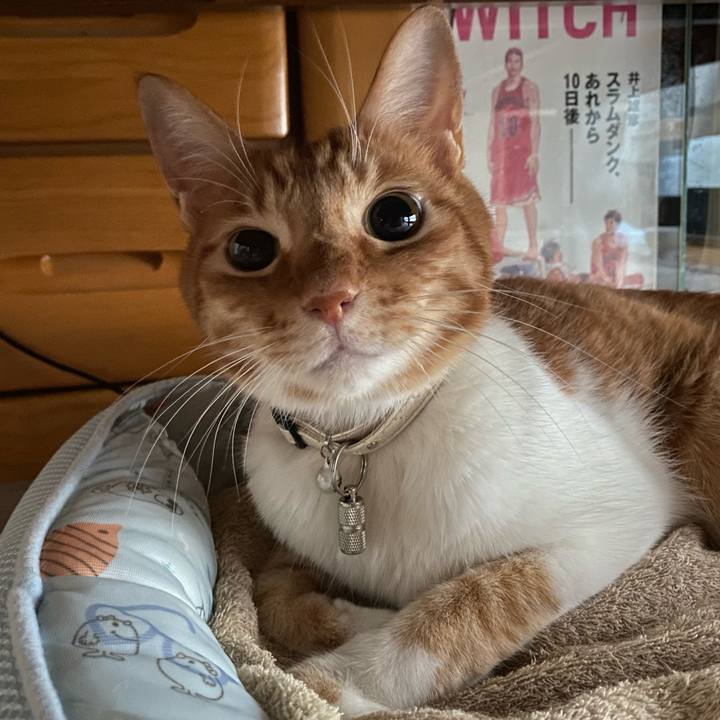 7eb5c4d3 743b 4192 9c69 4c1da3d386f9 1657875528191