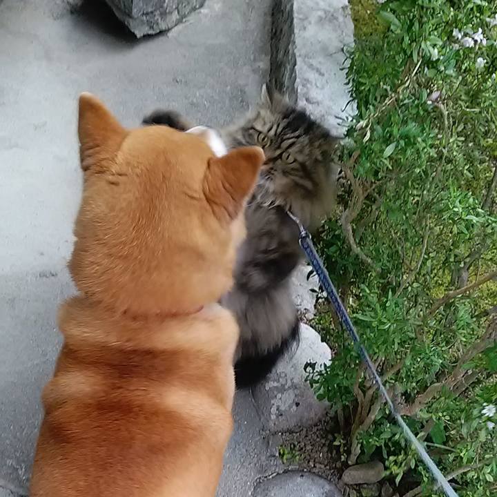 7eb5c877 6369 42e3 b885 f81a724c1d88 1653013831638