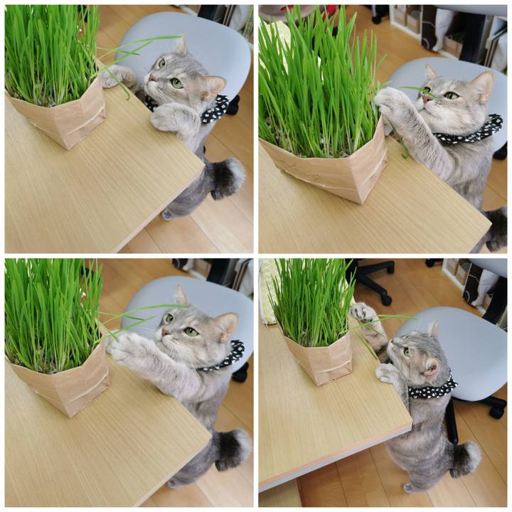 7eb5fd66 0a0c 44f3 a263 f58a2793e5e4 1678764863828