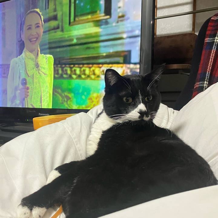 7eb63532 9f49 4c00 8de3 9e794f4ea2d4 1767192049976