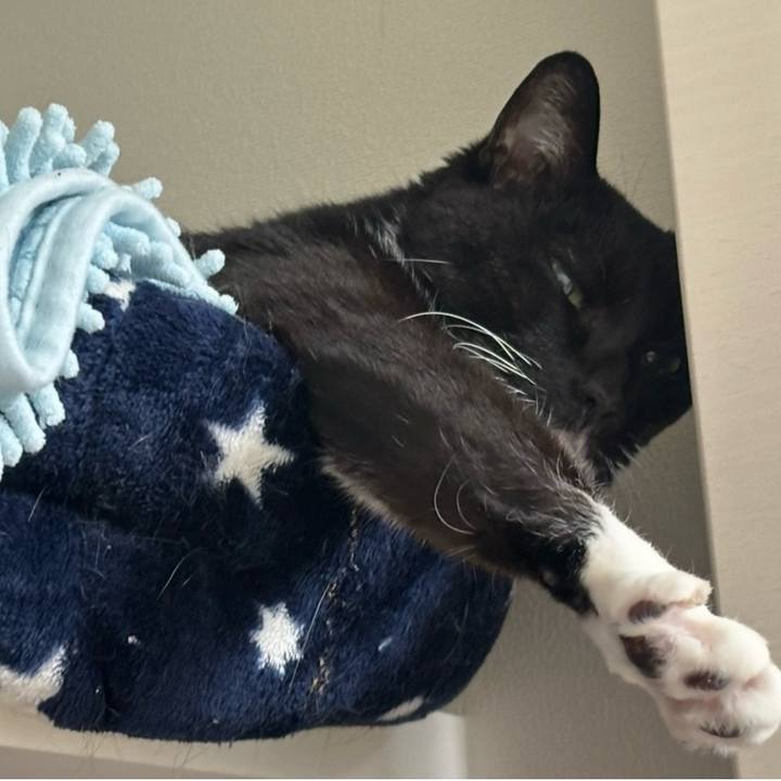 7eb635ce 29fe 4198 95f9 ab04f5b22a5b 1776818070498