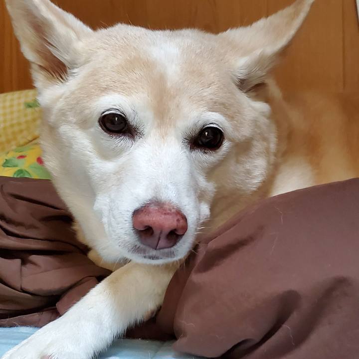 7eb63753 b8a0 4b1f 96f0 28e1e9782c39 1596063505357