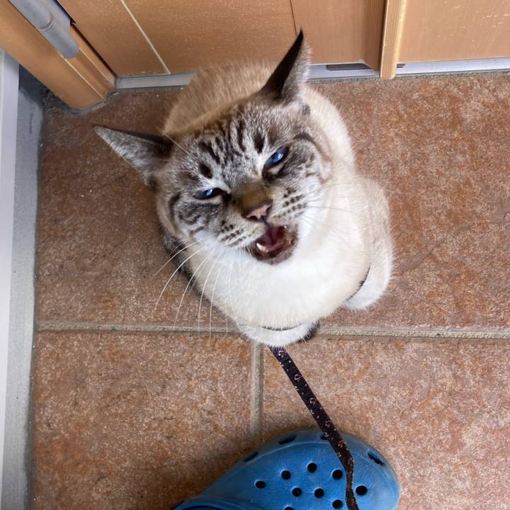 7eb6580e be29 4113 ac8e 435a1e0ac155 1767934750863