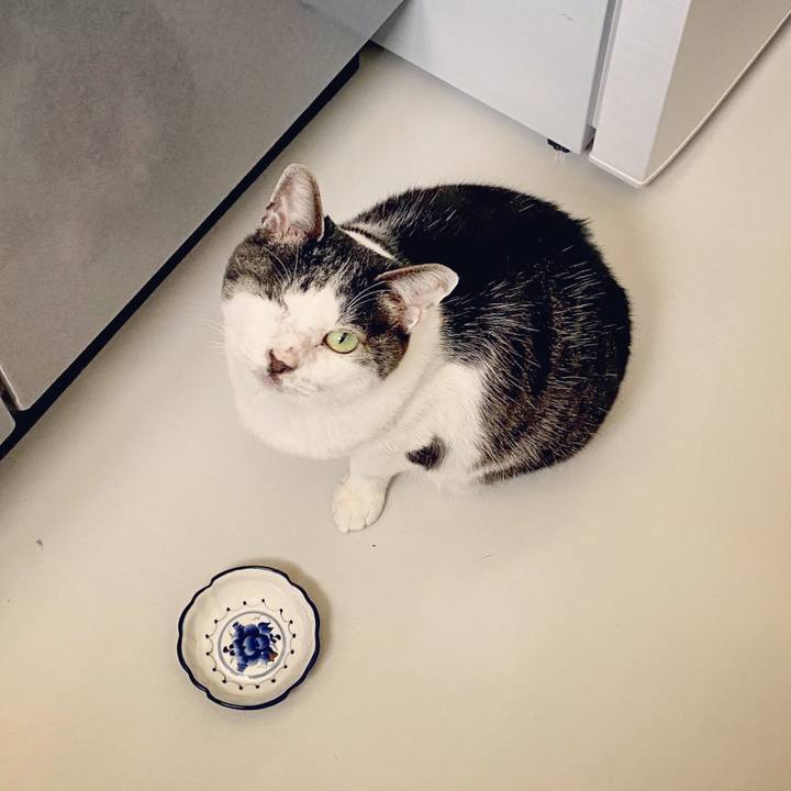 7eb6a833 fd5b 4e78 af58 f33ec751ac9f 1584692376961