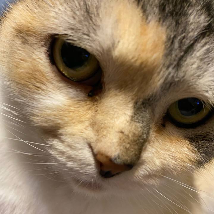 7eb6a864 247a 4c4c b3fa fe711dbe1239 1616157476174