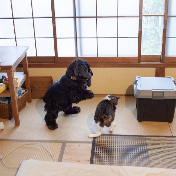 7eb6cf74 622f 49e7 851f d497af205cd3 1548933975874