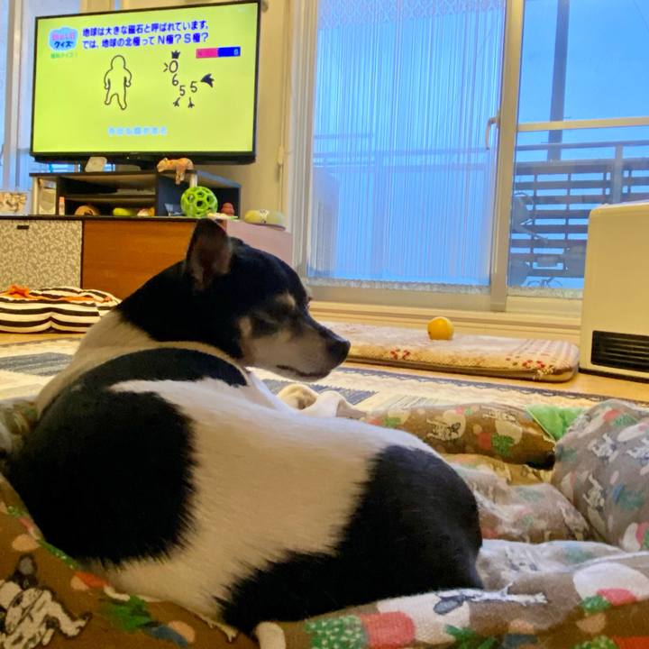 7eb70d1e 8af1 445f b0bb 0389d2bf173e 1613513169210