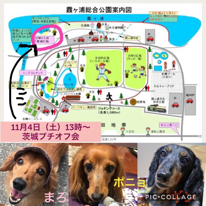 7eb71a9c 9050 4c93 9b93 574c07697a30 1509576811970