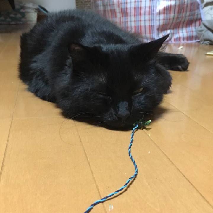 7eb74711 80b6 4c18 8866 d8626a920d01 1525454284945