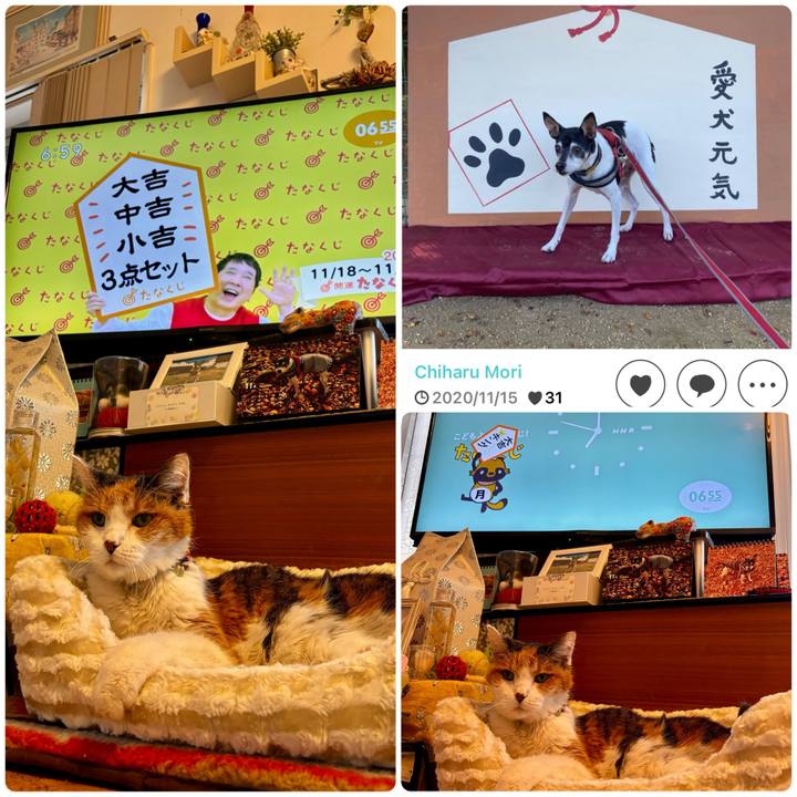 7eb75973 d76c 4667 8176 089c571ad5ac 1731881493429