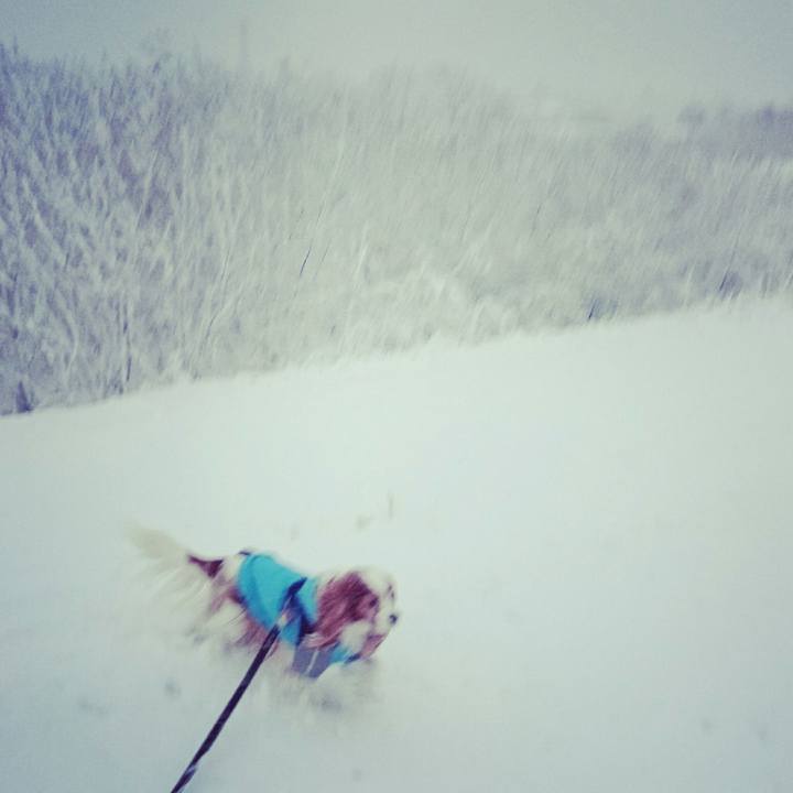 7eb76b7c 143a 4611 8f63 ef53880a9595 1513031282364