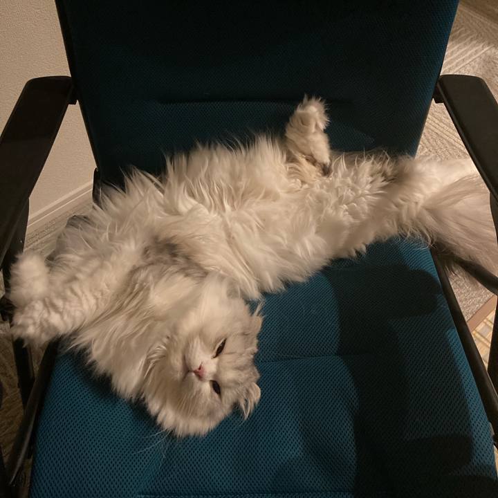 7eb785ed 08bb 4269 a03d 67df72e21869 1683815410145