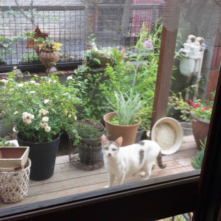 7eb79f59 e2b3 44ec a11a eb4442a7a884 1563690944615