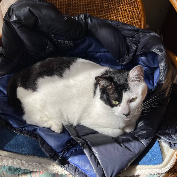 7eb7b0c7 2e78 40d4 bc45 91f60e0adf33 1763097937030