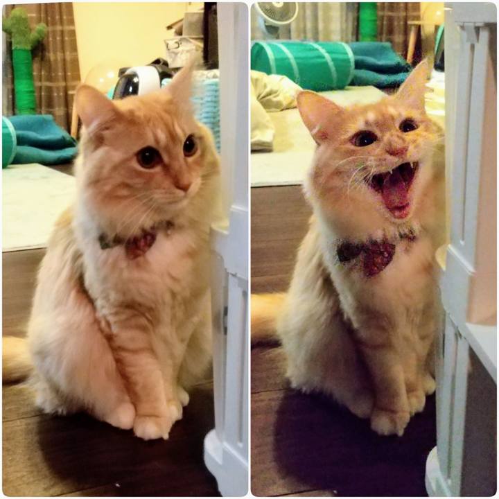 7eb81f47 49e0 4352 a1f8 6225a507b96c 1640053773042