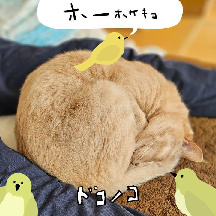 7eb82206 98e5 4917 a4c2 520903cbbc0e 1711234058541