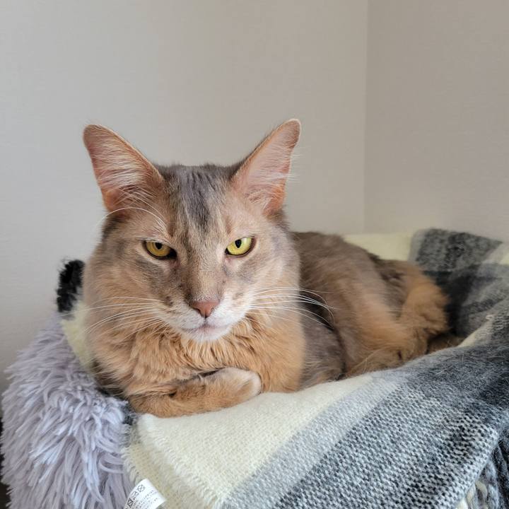 7eb83a50 9df9 4cd4 a8fc 1da02fe78c51 1682161907547