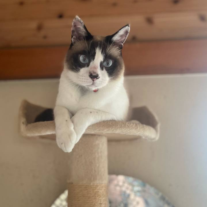 7eb84402 6c08 48b7 8c1c 9e9c9f7cb15f 1774311363259