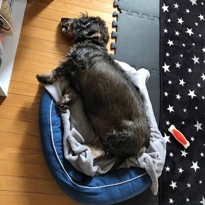 7eb86113 e908 4d57 b25c 7e8790c39f34 1540616716877