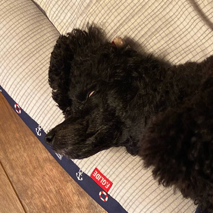 7eb87949 3c3b 42d0 9947 1d6e1e542dbb 1600166326647