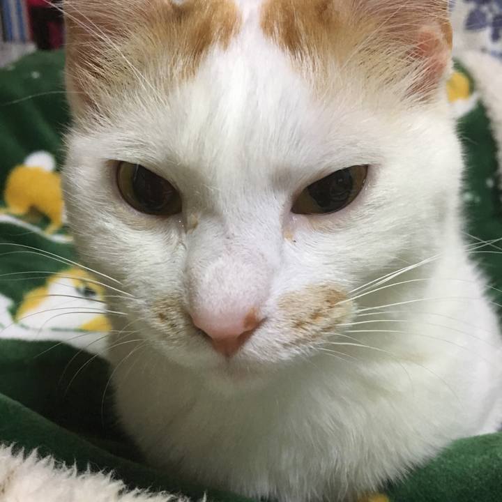 7eb8798f 59ff 47d0 8ca7 a9817c44ab7c 1526210859632