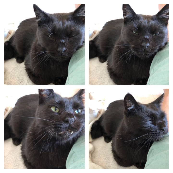 7eb89dae 6237 448c a618 d8681bb34951 1626918977585