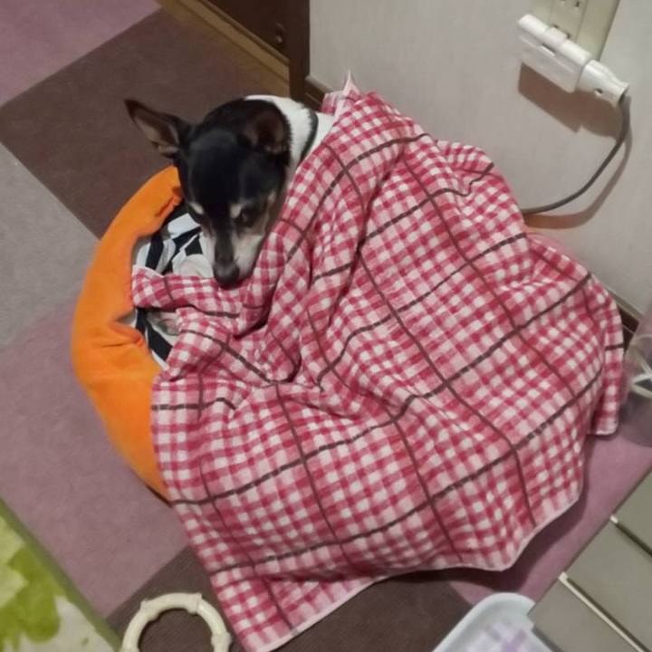 7eb89e6e 2dcd 46b4 8fa2 702f8b557d5a 1553347593064