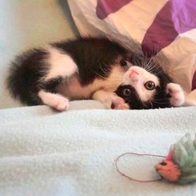 7eb8b2e3 c1db 4aa7 85f7 4f4254bf5448 1571784027216