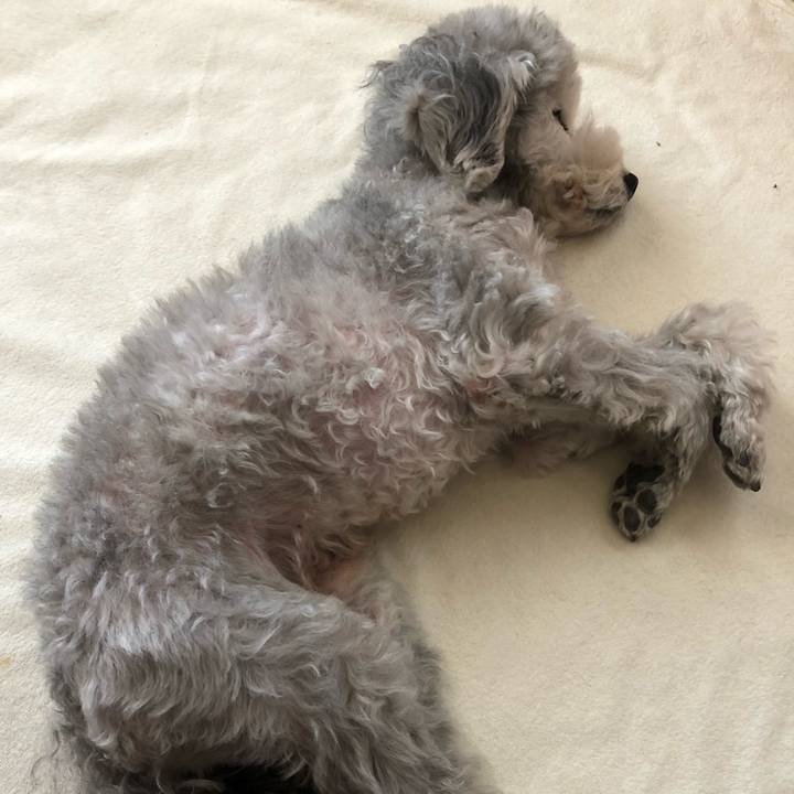 7eb8b47d b8ff 408d 8155 60bfb385a921 1548370938147