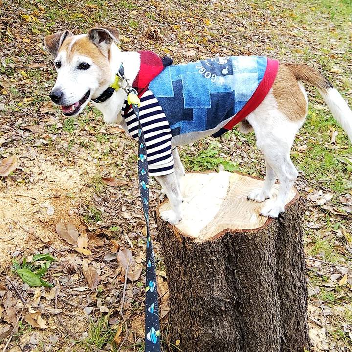 7eb8ba1b bbf0 48bd 9e26 d118d621bbf7 1543127691347