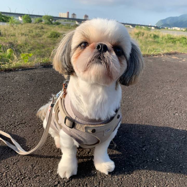 7eb8fe26 8c55 4844 bcca 12a8daac03c2 1650689402017