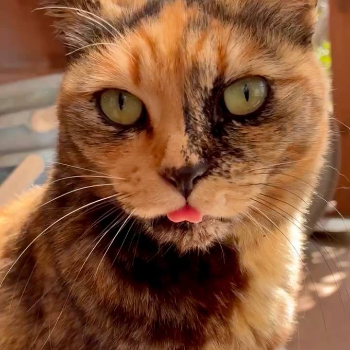 7eb91d92 f36d 4f01 82e6 198cee703f82 1773232687565