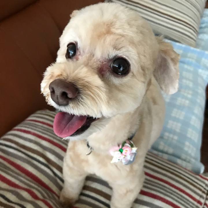 7eb92a8f a95a 4ec4 9e2c 182e7336fb1d 1530847650099