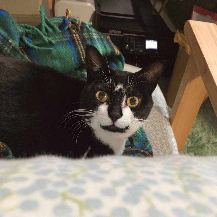 7eb99e76 7392 407b 8dc2 290aef276480 1764928097999