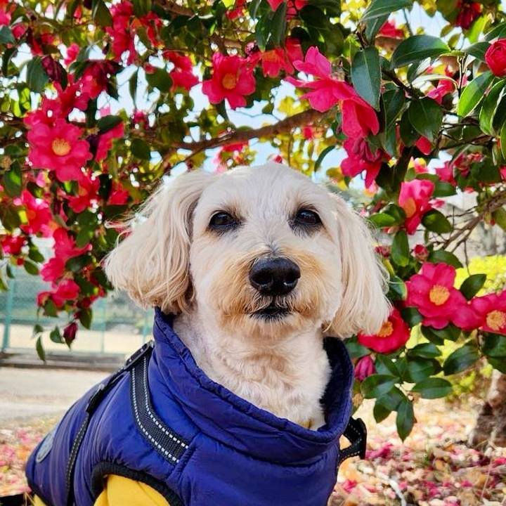 7eb9a1dd dcd3 49a5 be20 ba884000b0db 1771569117425