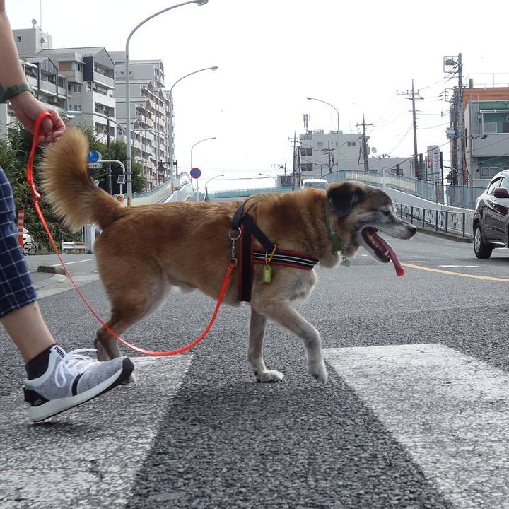 7eb9a74c 6edf 4003 ba0f 465e54aba066 1567297249954