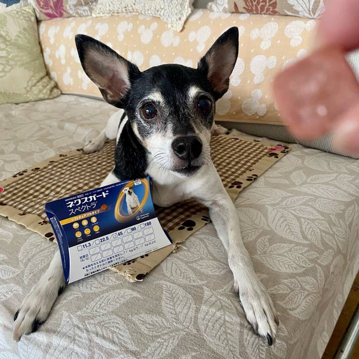 7eb9bb78 5f45 4a88 bb09 174656e24549 1623708361769