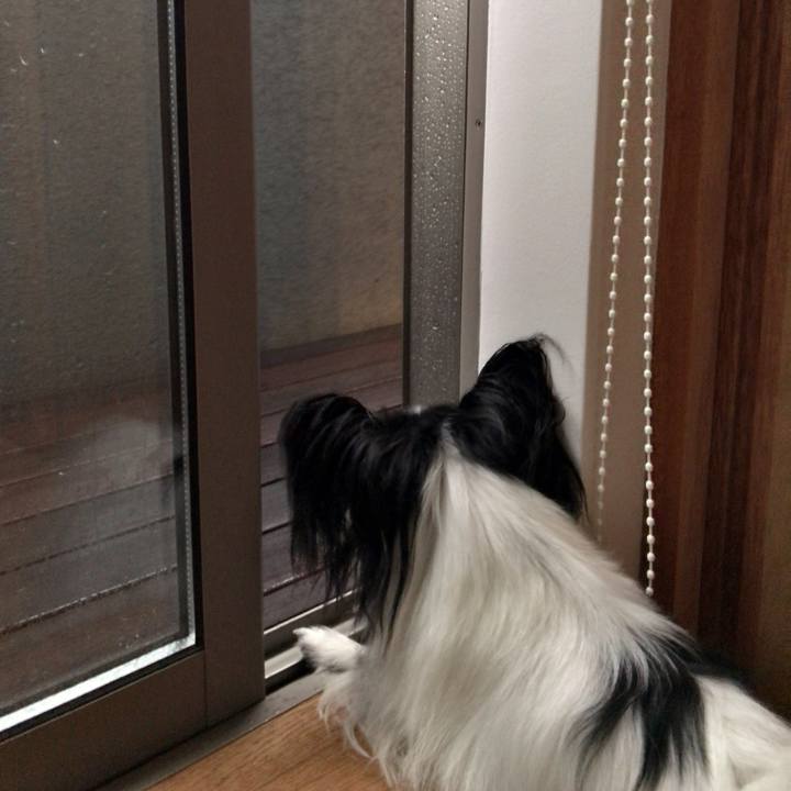 7eba0ba9 c7e4 469d a4ad 3d3ebc9ccd42 1535056810634