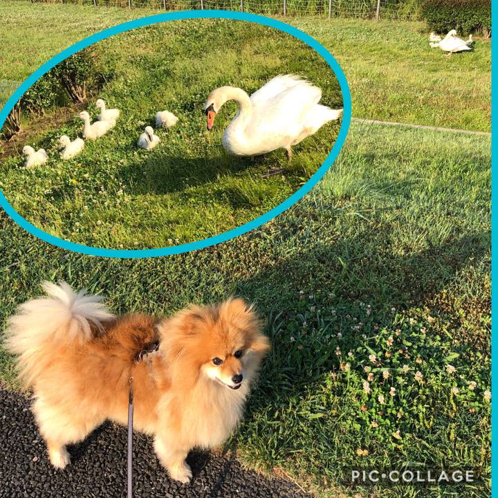 7eba1673 a300 4286 badd ee9de9388296 1558832792382