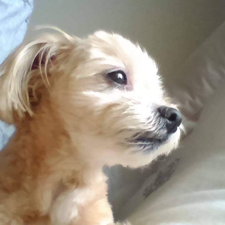 7eba1e1d e442 4af2 989b 6ed8d891c341 1615098871283