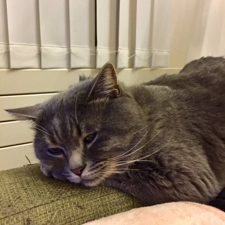 7eba67e4 b1b9 4942 8f7b 0e5a57eb27aa 1510181159223