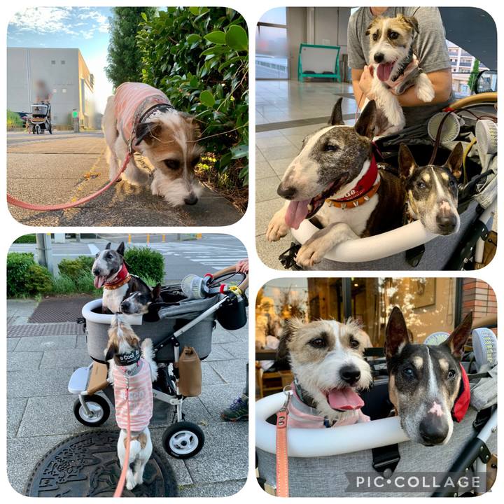 7eba6d3d 6aa4 430f 8ea3 f6ee78bda46d 1627220495309