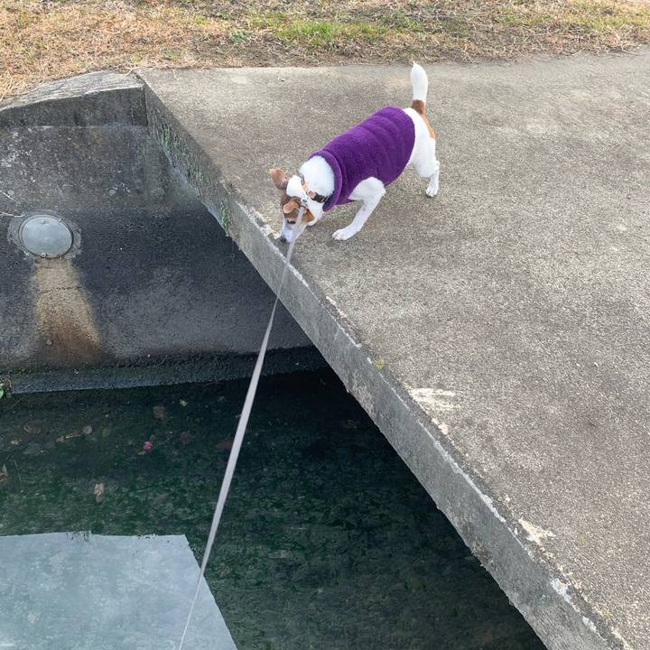 7ebabfcd bb7c 4570 abf7 1599f0a75a44 1610843141520