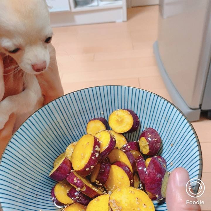 7ebae80f 55c1 4040 8207 1b33c00d435c 1602583755576