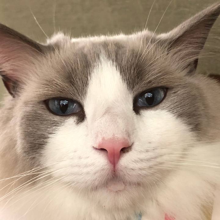 7ebb090b 4103 4e9c b469 0c744266af01 1598665858190